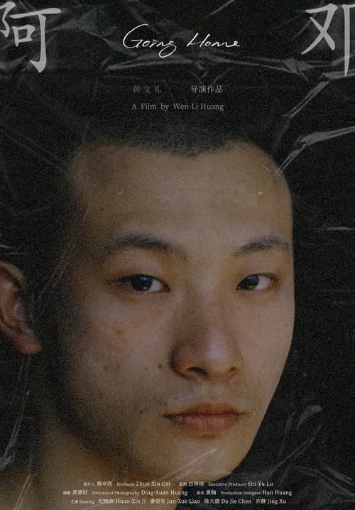 Poster for Going Home