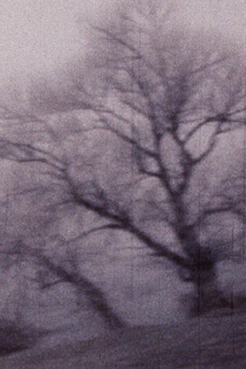 Poster for Travelogue