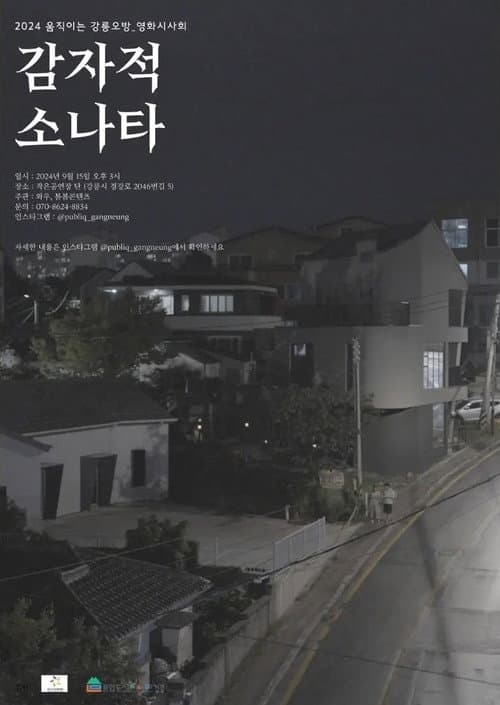 Poster for 감자적 소나타