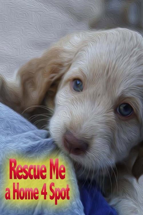 Poster for Rescue Me: A Home 4 Spot