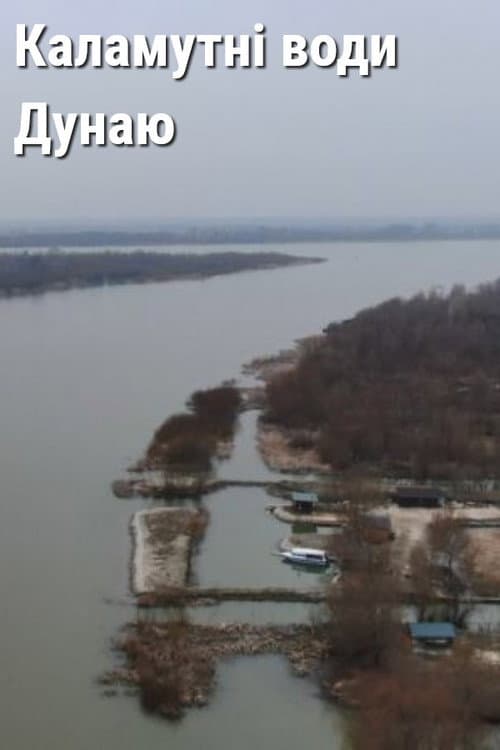 Poster for Muddy Waters of the Danube