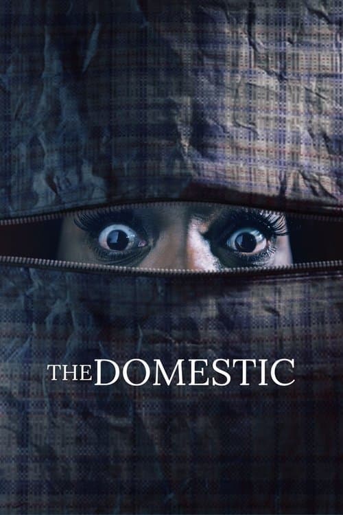 Poster for The Domestic