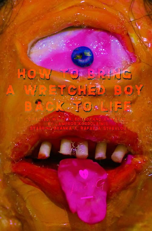 Poster for How to Bring a Wretched Boy Back to Life