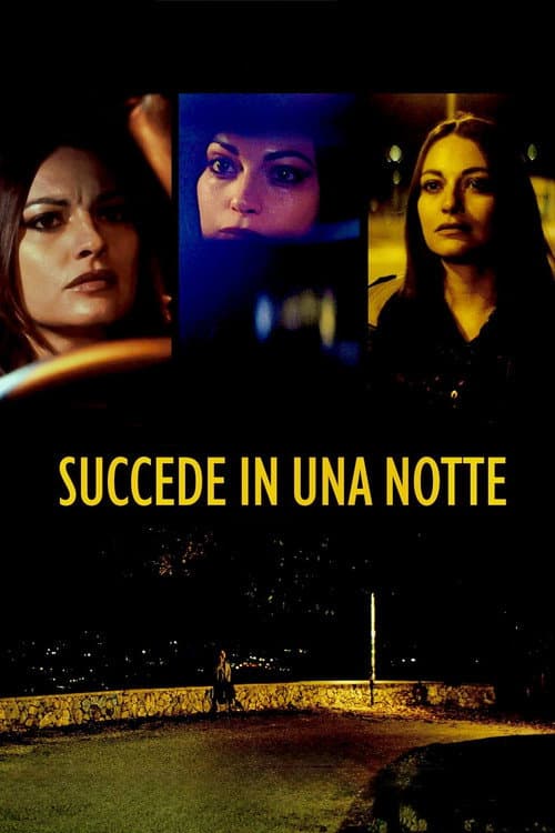 Poster for Succede in una notte