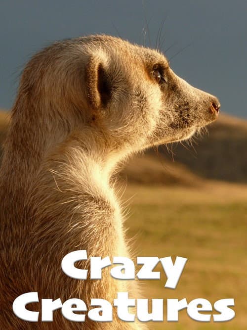 Poster for Crazy Creatures