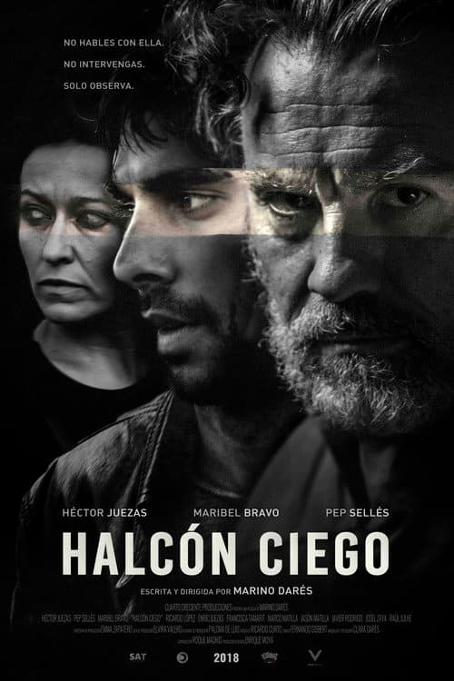 Poster for Blind Hawk