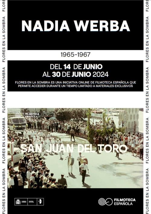 Poster for San Juan del Toro