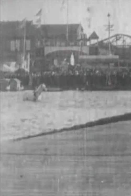 Poster for The Diving Horse