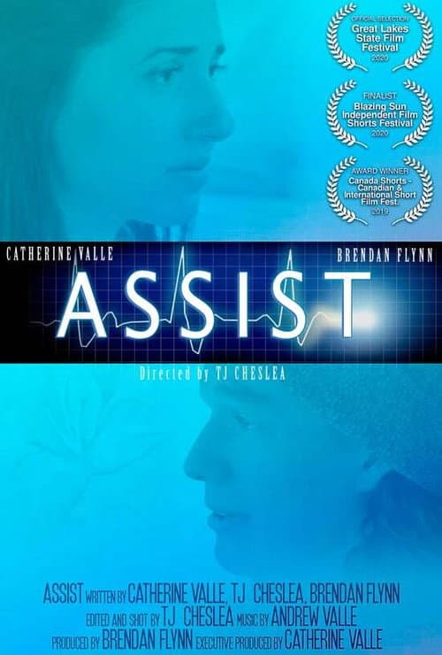 Poster for Assist