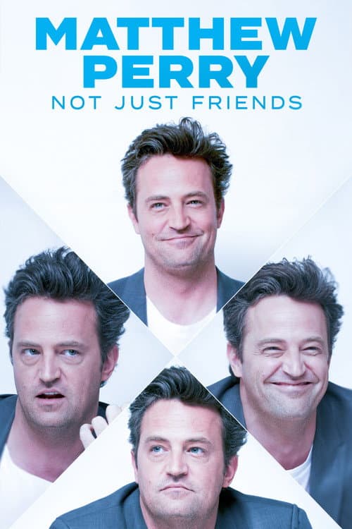 Poster for Matthew Perry: Not Just Friends