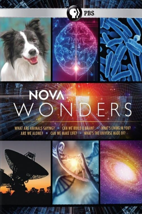 Poster for Can We Build a Brain?