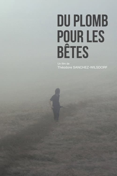 Poster for Du plomb pour les bêtes