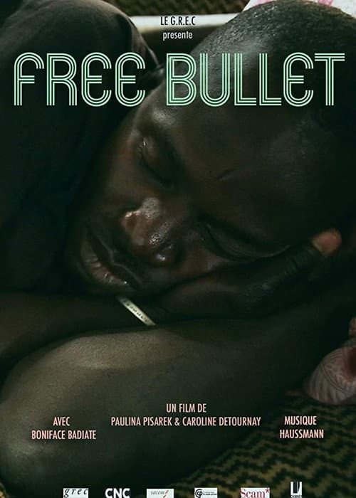 Poster for Free Bullet