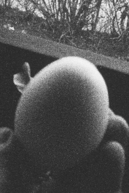 Poster for 13 Eggs