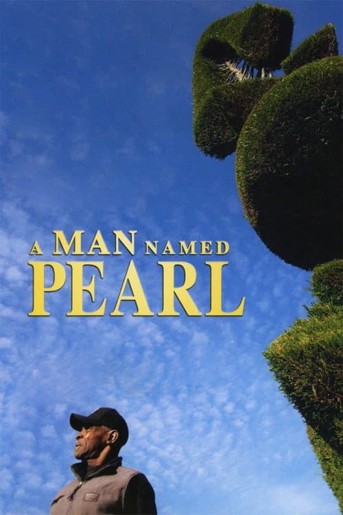 Poster for A Man Named Pearl