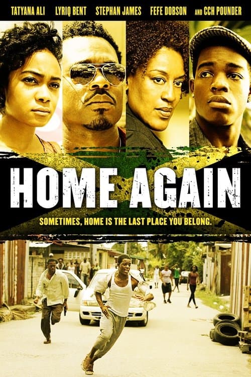 Poster for Home Again