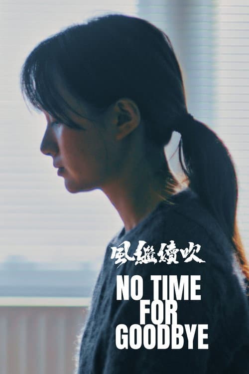 Poster for No Time For Goodbye