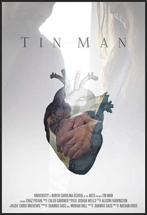 Poster for Tin Man