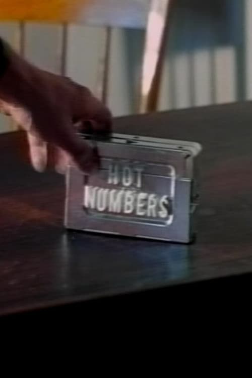 Poster for Hot Numbers