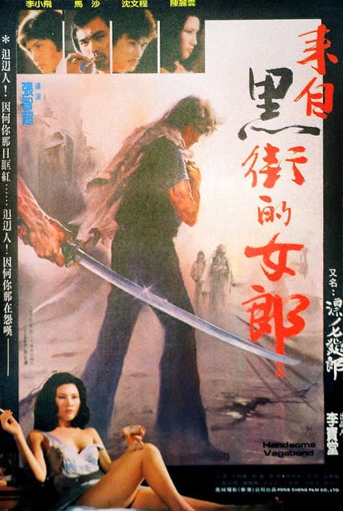 Poster for Handsome Vagabond