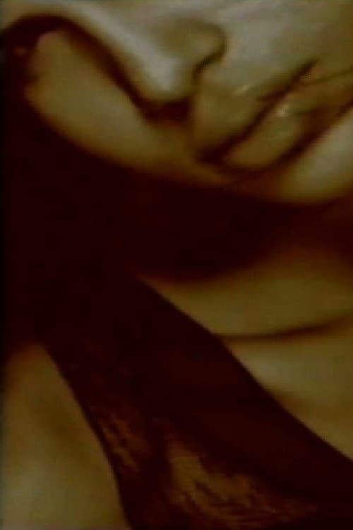 Poster for Distorted Reflections