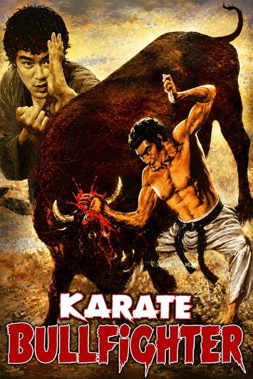 Poster for Karate Bullfighter