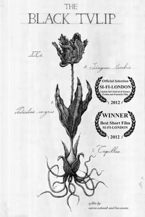 Poster for The Black Tulip