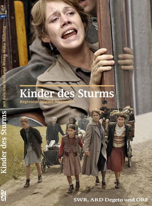 Poster for Kinder des Sturms