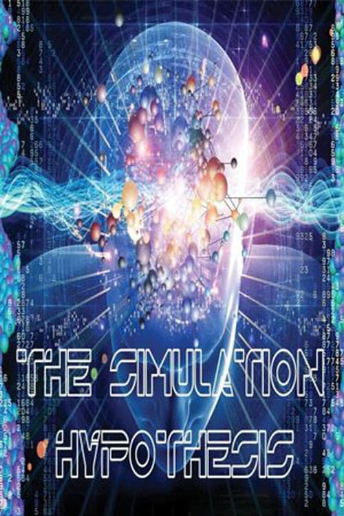 Poster for The Simulation Hypothesis