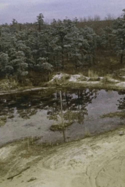 Poster for Pine Barrens