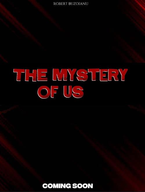 Poster for The Mystery Of Us