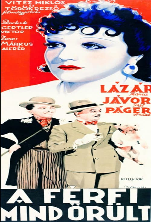 Poster for A férfi mind őrült