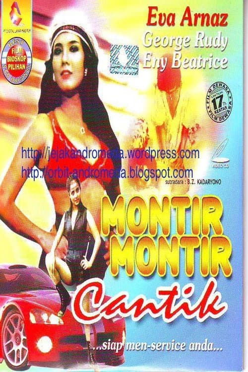 Poster for Beautiful Mechanics