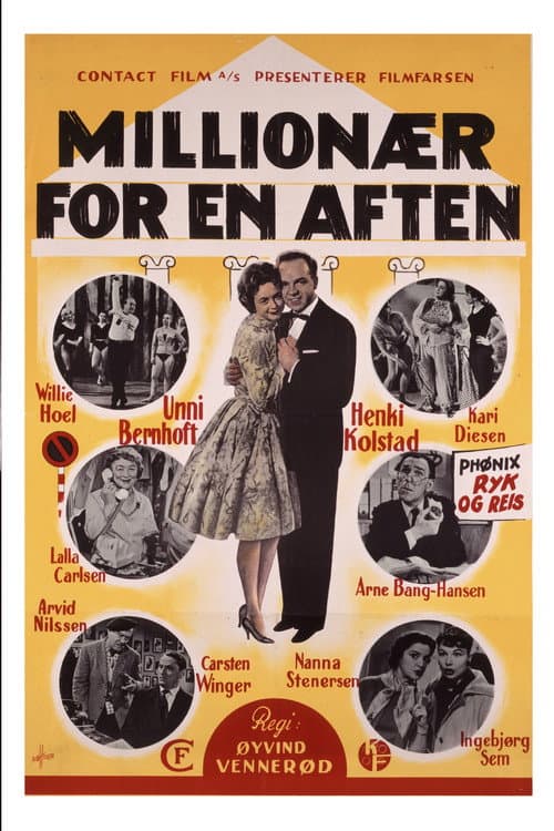 Poster for Millionær for en aften