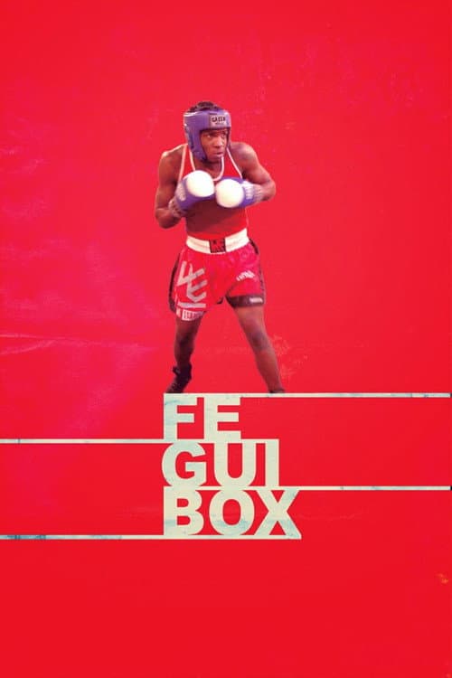 Poster for Feguibox