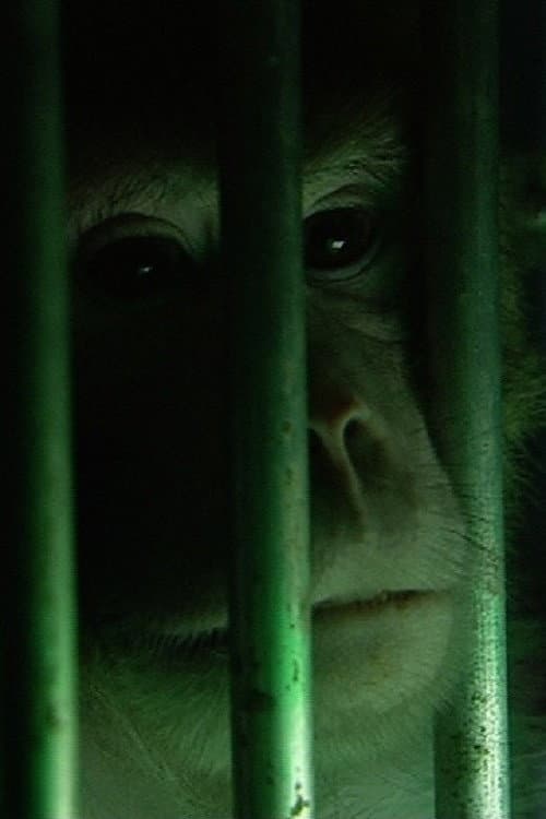 Poster for Monkeys, Rats and Me