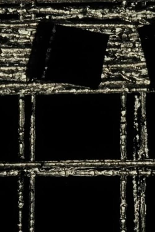 Poster for A Black Screen Too