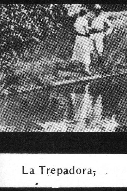 Poster for La trepadora
