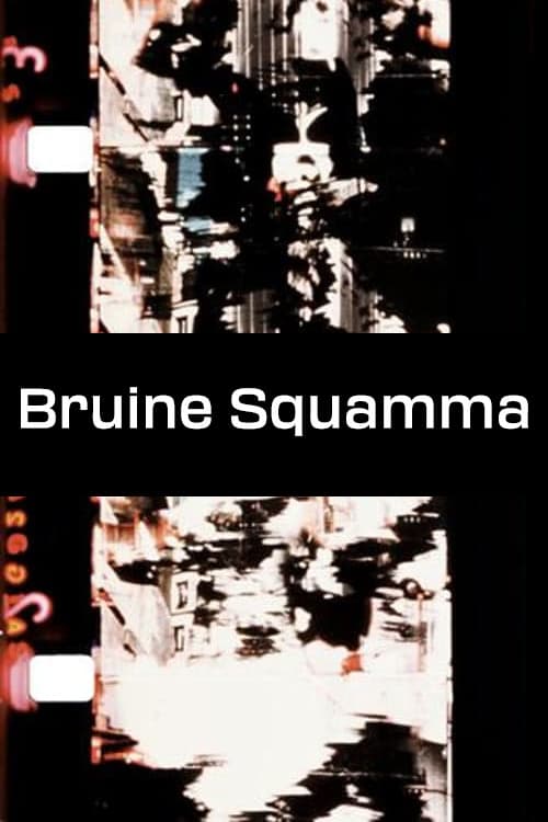 Poster for Bruine Squamma