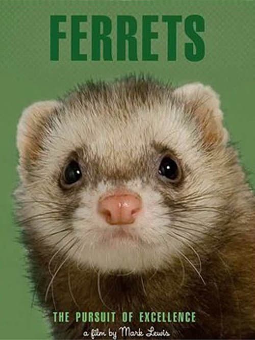 Poster for Ferrets