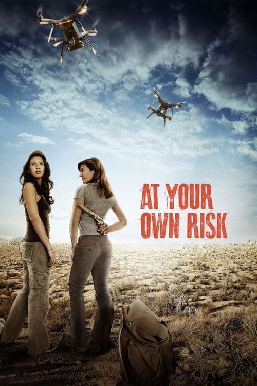 Poster for At Your Own Risk