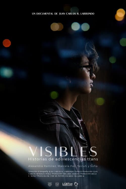 Poster for Visible: Transgender Youth Stories