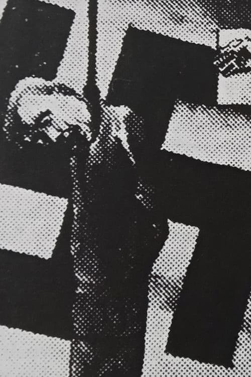 Poster for Frits Van den Berghe