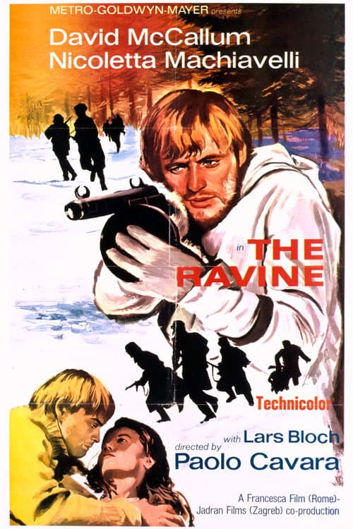 Poster for The Ravine