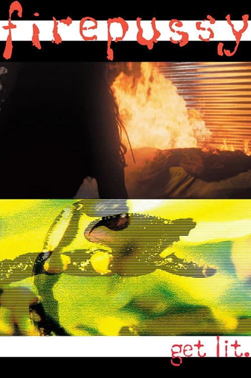 Poster for Firepussy
