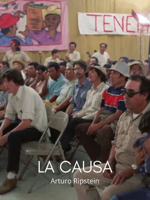 Poster for La causa (Tres preguntas a Chávez)