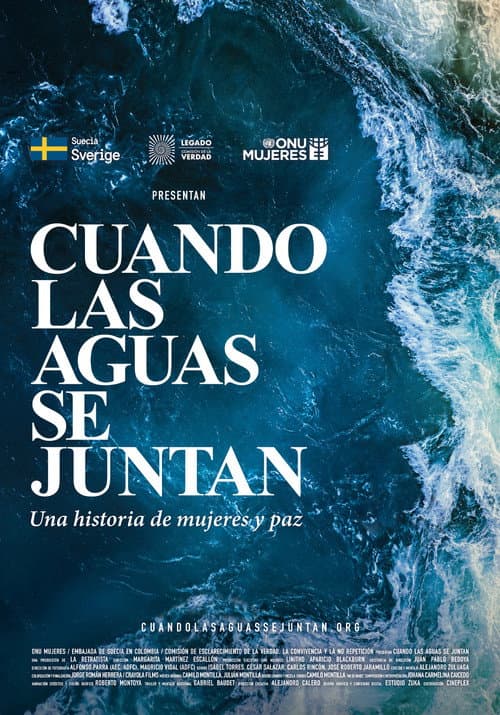 Poster for When the waters meet
