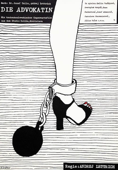 Poster for The Lawyer