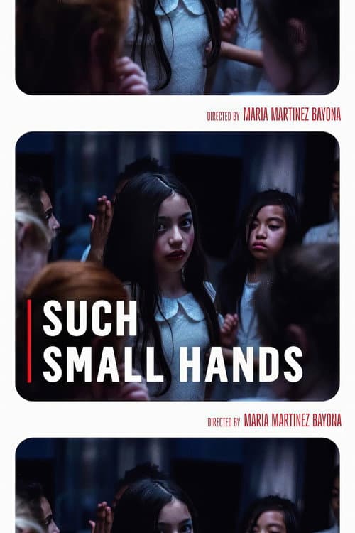 Poster for Such Small Hands