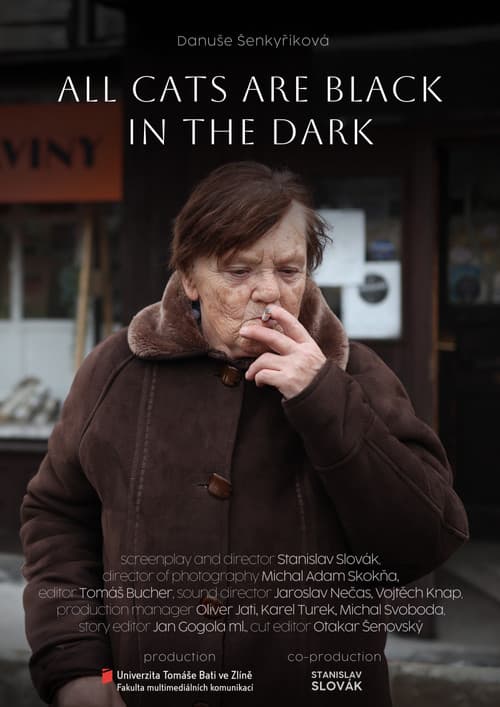 Poster for Potmě jsou všechny kočky černé